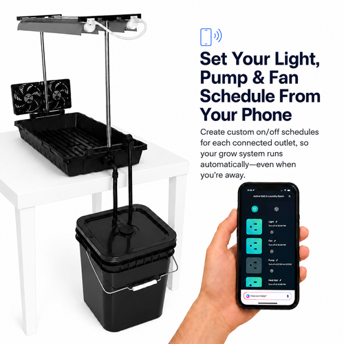 Automatic plant watering system indoor, phone app control - Palm & Soil