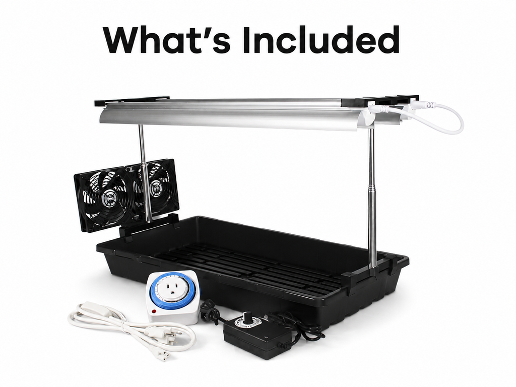 Seedling grow light with fan kit contents: tray and timer - Palm & Soil